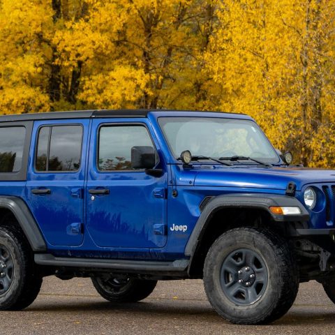 a blue truck parked in front of a forest