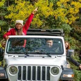 a car parked in front of a tree