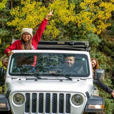a car parked in front of a tree