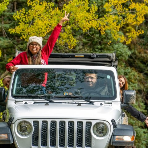 a car parked in front of a tree