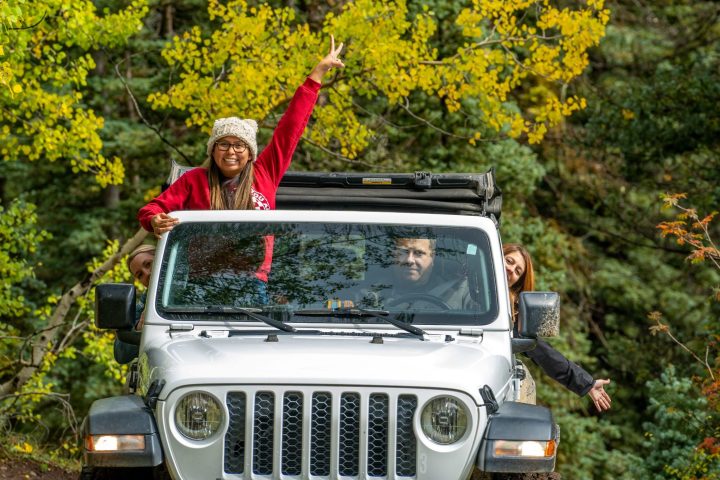 a car parked in front of a tree