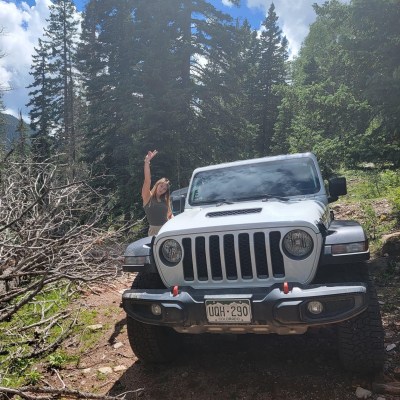 a truck is parked in front of a forest