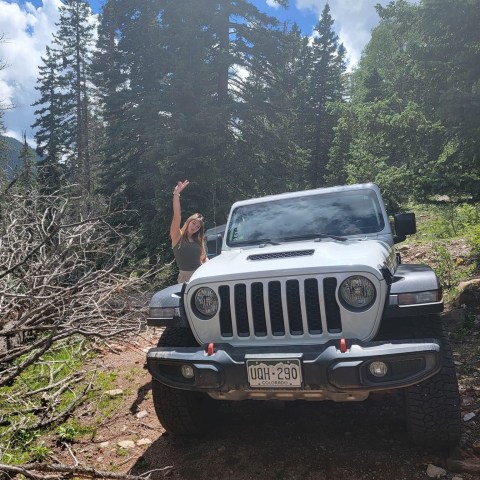 a truck is parked in front of a forest