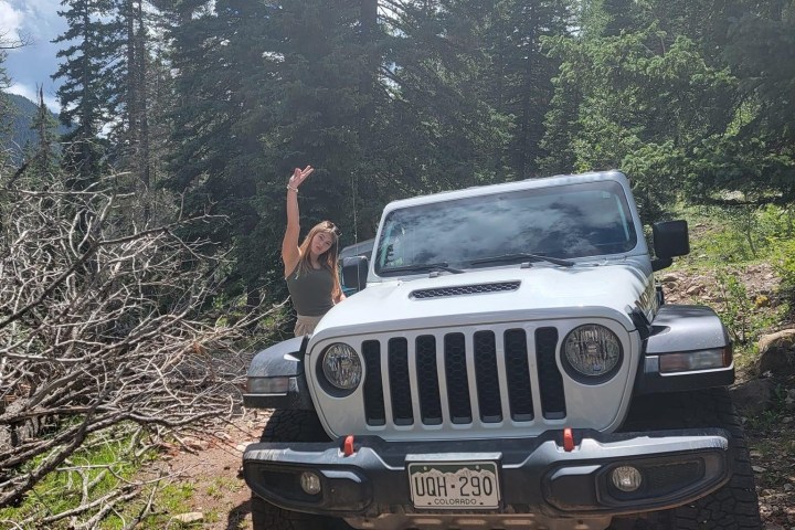 a truck is parked in front of a forest
