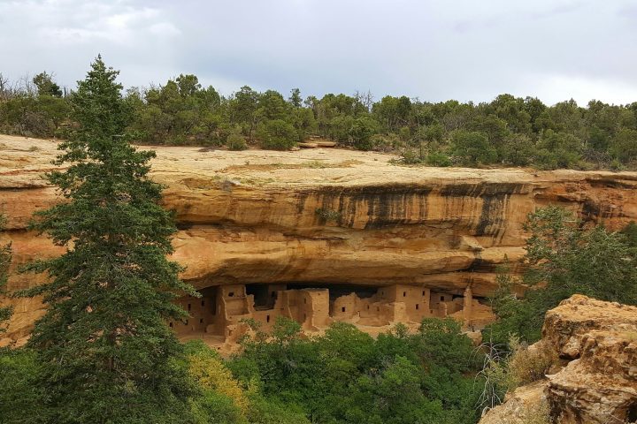 a close up of a rock