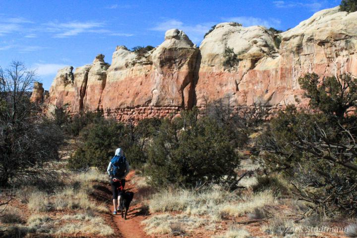 a person standing in front of a canyon