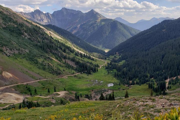 a herd of sheep grazing on a lush green hillside