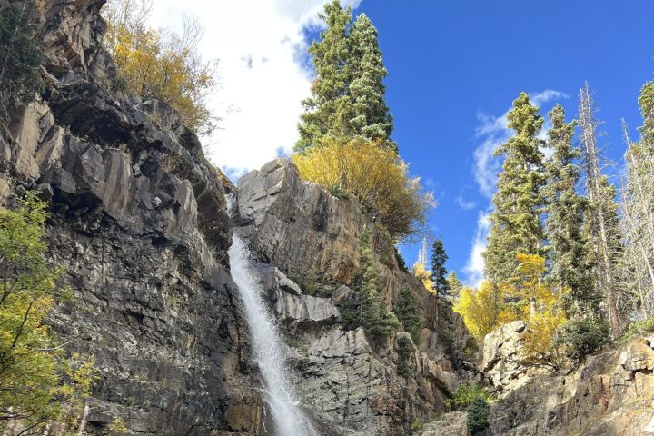 a large waterfall in a forest
