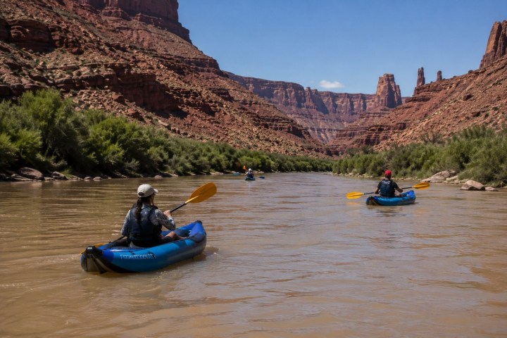 Group kayaking on a river between red rock canyons and greenery under a blue sky.